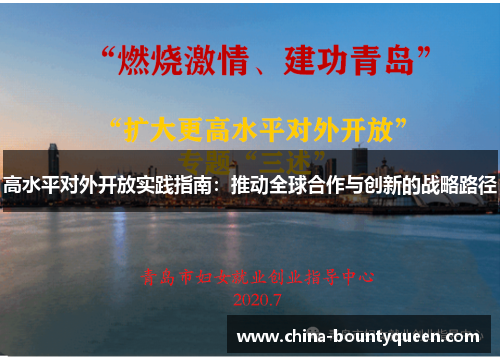 高水平对外开放实践指南：推动全球合作与创新的战略路径